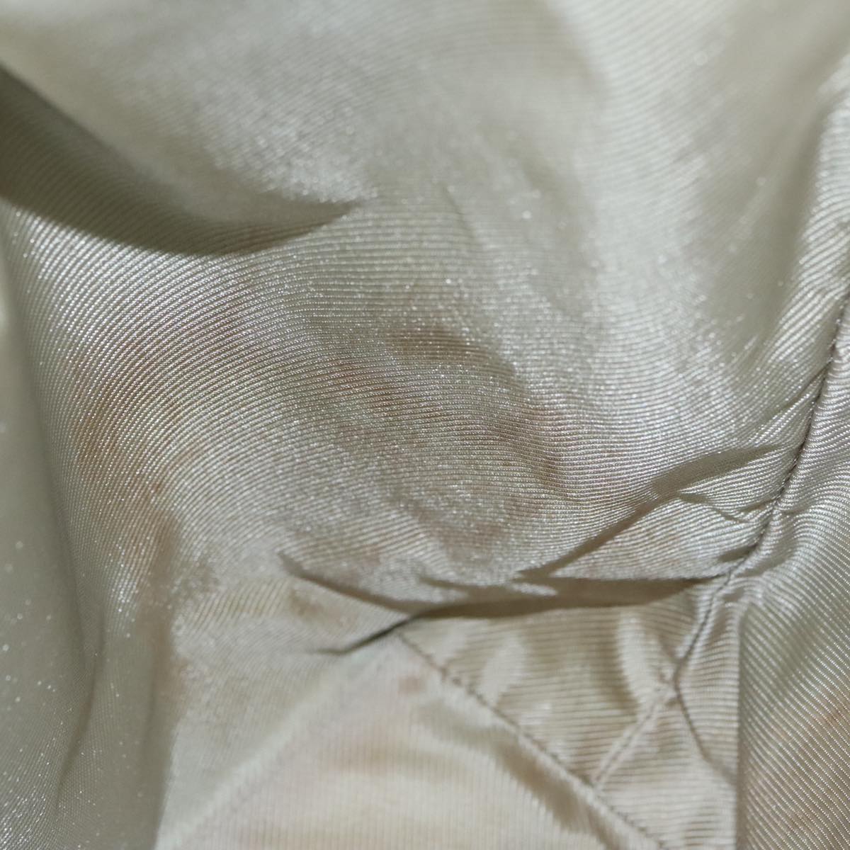 Gucci GG canvas