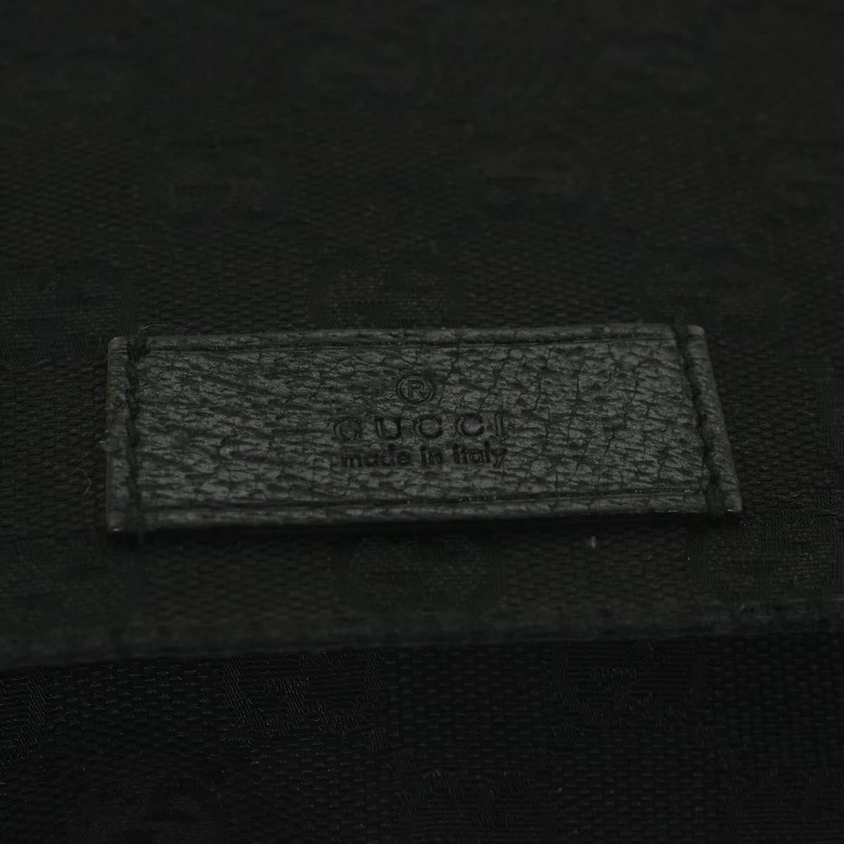 Gucci GG canvas
