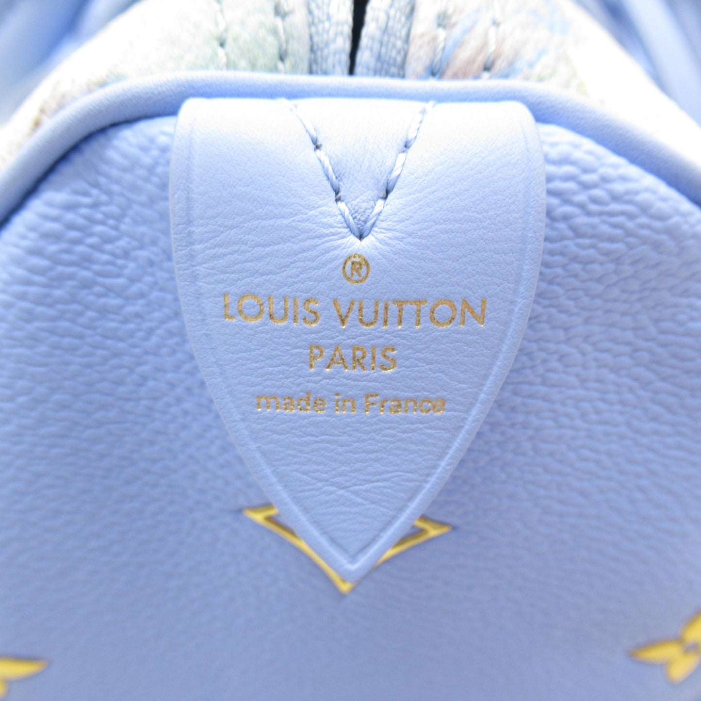 LOUIS VUITTON van gogh speedy 30 Blue PVC coated canvas Masters collection M43314