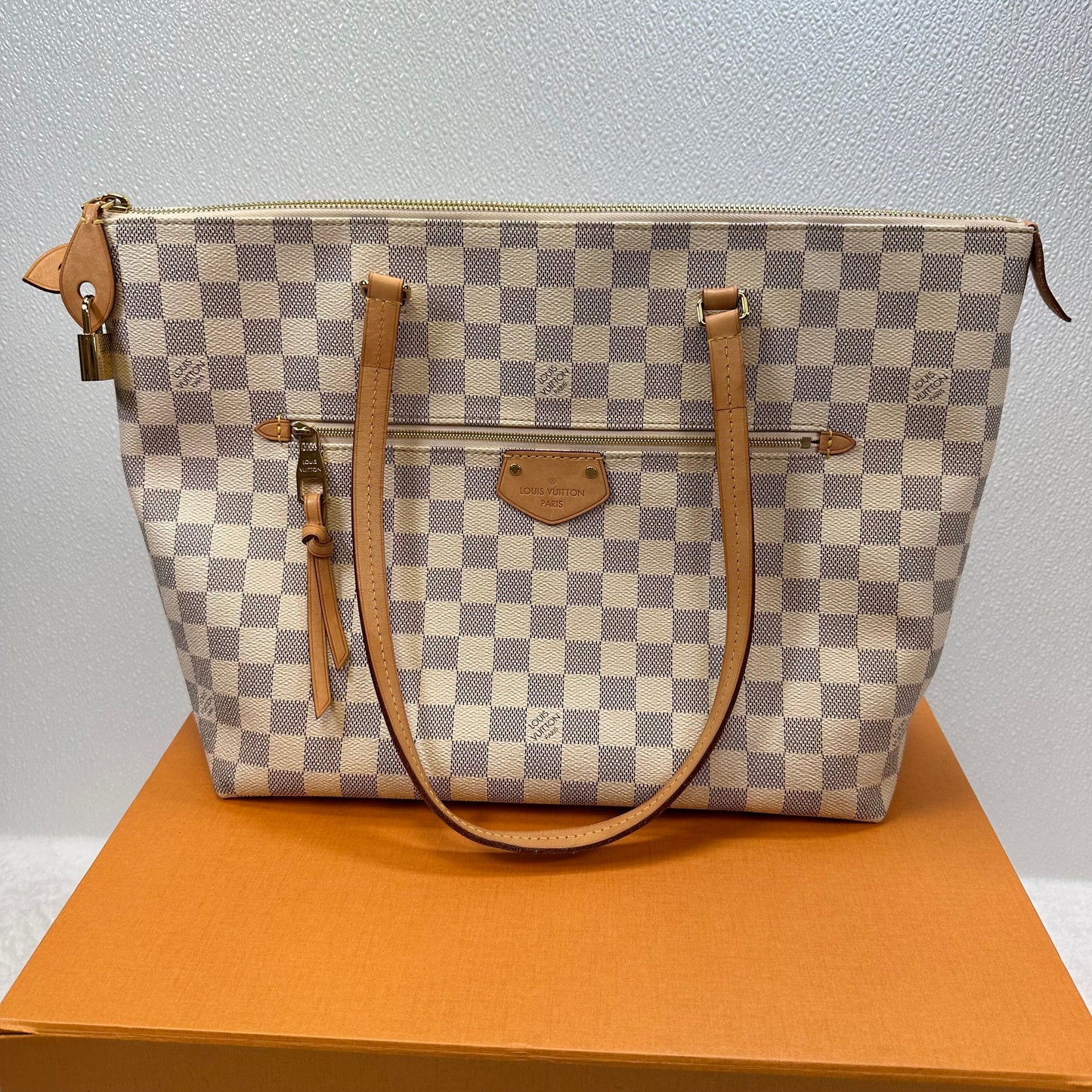 Handbag Designer By Louis Vuitton  Size: Large