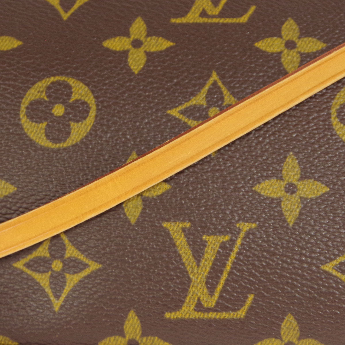 LOUIS VUITTON Pochette Accessoires Handbag Monogram M51980 67882