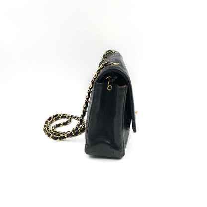 Chanel Diana Lambskin Medium Flap Bag TWS