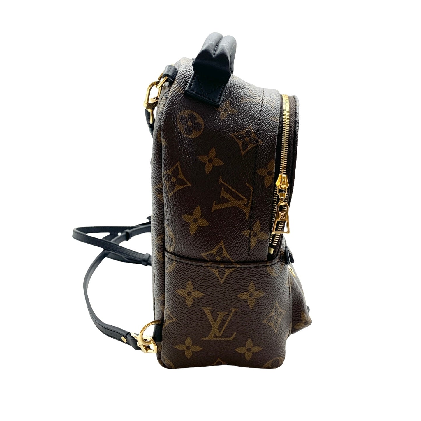 Backpack Luxury Designer By Louis Vuitton  Size: Small
