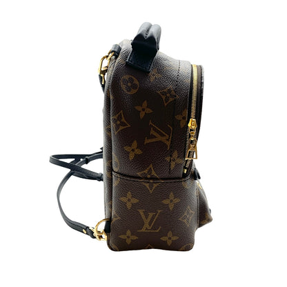 Backpack Luxury Designer By Louis Vuitton  Size: Small