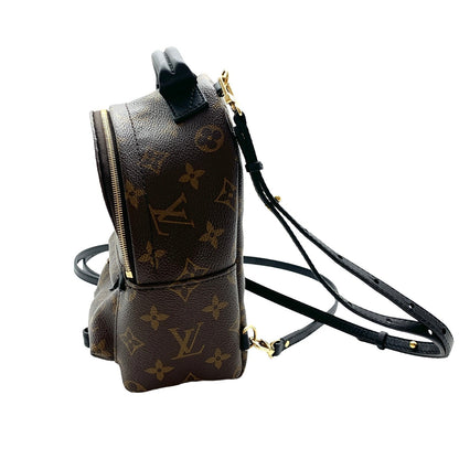 Backpack Luxury Designer By Louis Vuitton  Size: Small