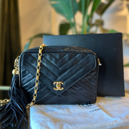 CHANEL Chevron Lambskin Camera Bag