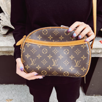 Louis Vuitton Blois Crossbody Bag TWS pop