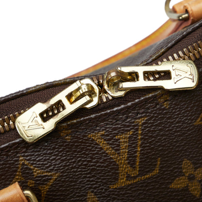 LOUIS VUITTON Monogram Alma PM Handbag