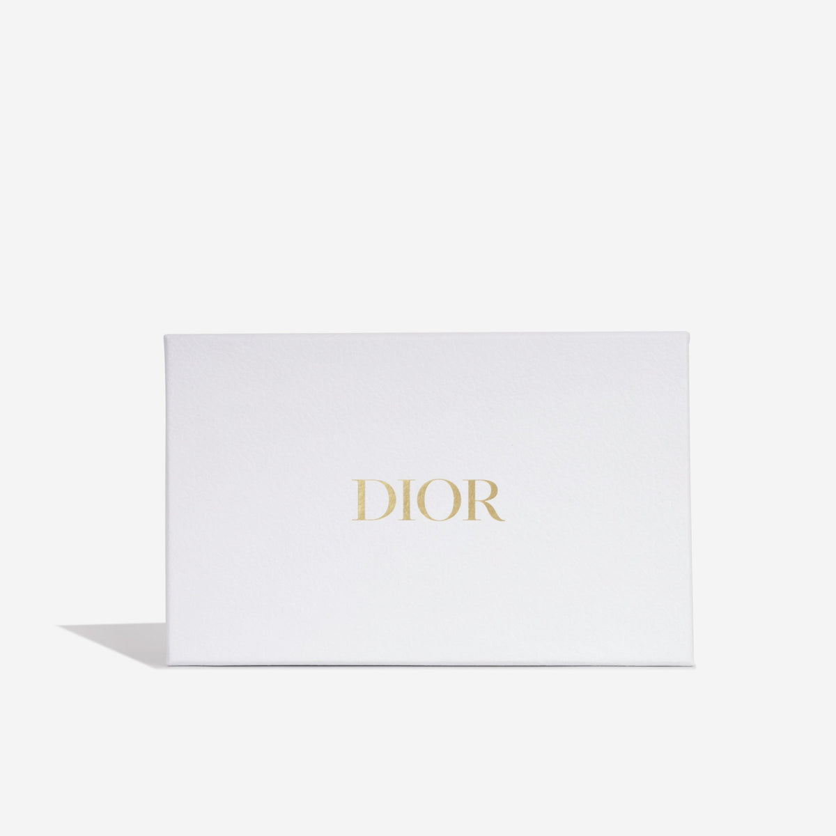 Lady Dior Pouch