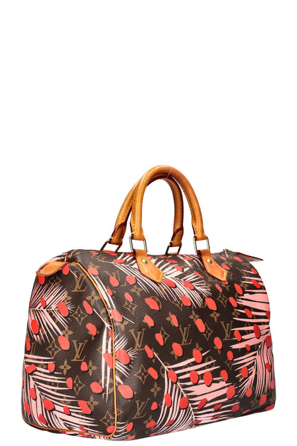 LOUIS VUITTON Jungle Dots Speedy 30 MNG