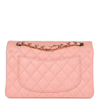 Chanel Small Classic Double Flap Pink Lambskin Light Gold Hardware