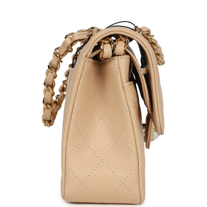 Chanel Small Classic Double Flap Bag Beige Caviar Gold Hardware