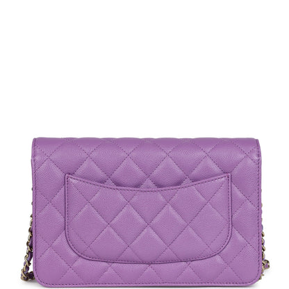 Chanel Wallet On Chain WOC Purple Caviar Light Gold Hardware