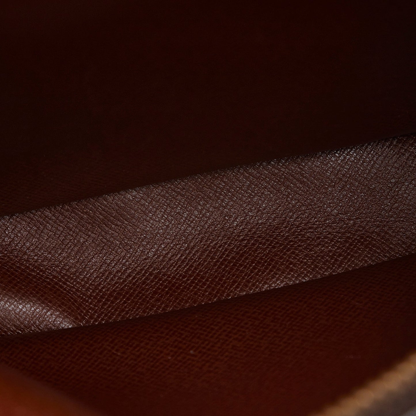 LOUIS VUITTON Monogram Amazone Crossbody Bag
