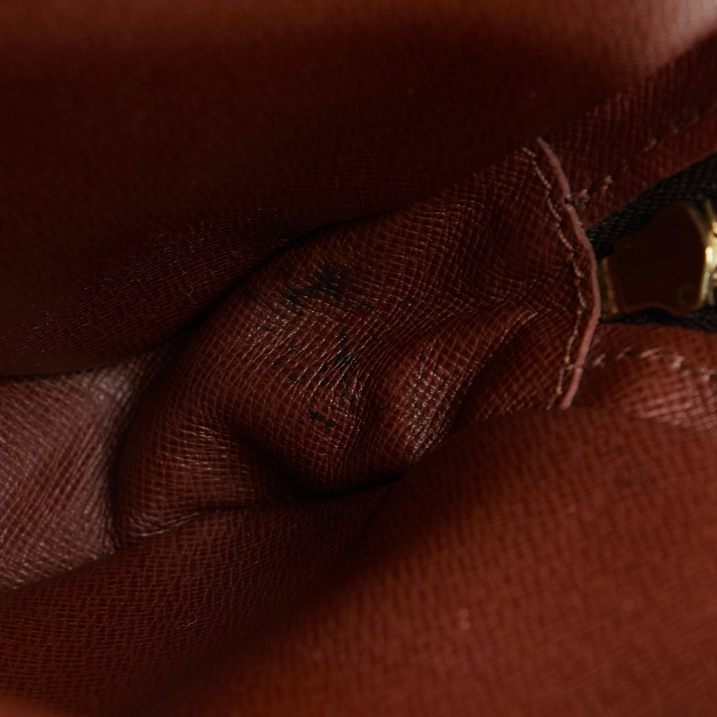 LOUIS VUITTON Monogram Amazone Crossbody Bag