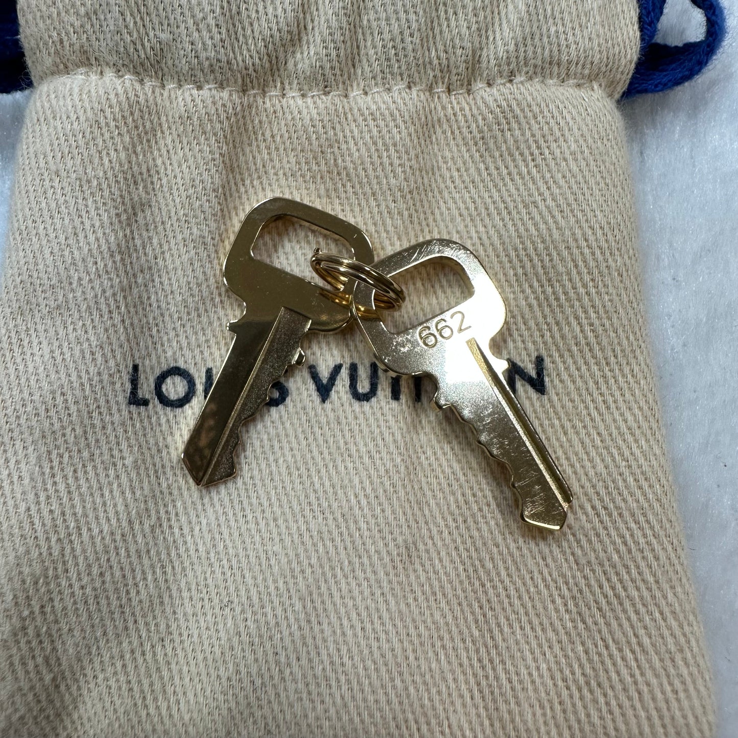 Handbag Designer By Louis Vuitton  Size: Large