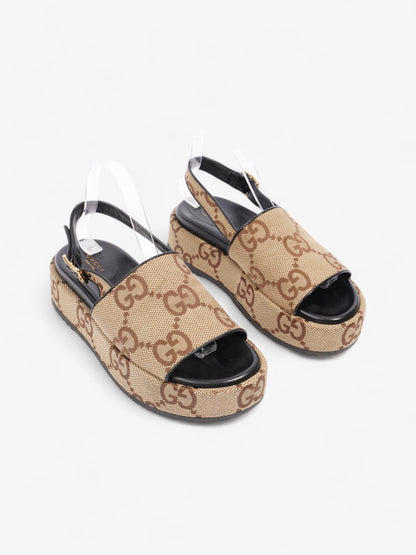 Gucci GG Angelina Platform Sandal GG Supreme / Black Canvas EU 39.5 UK 6.5