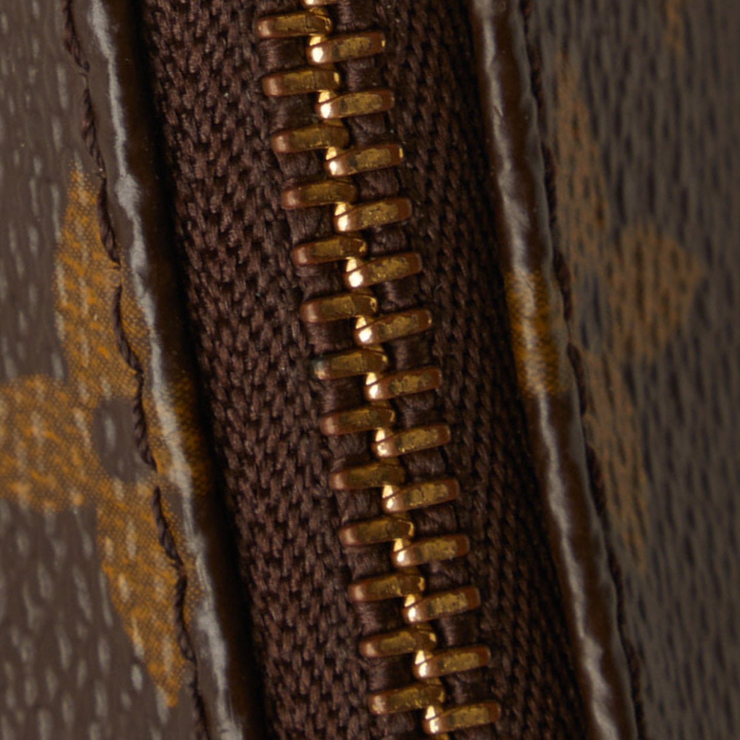 LOUIS VUITTON Monogram Pochette Accessoires Baguette