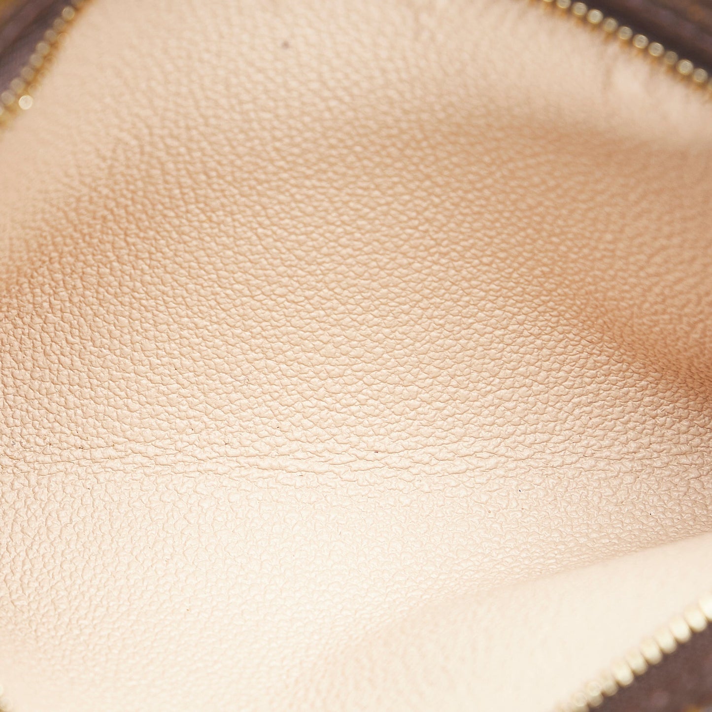 LOUIS VUITTON Monogram Petit Bucket Bucket Bag