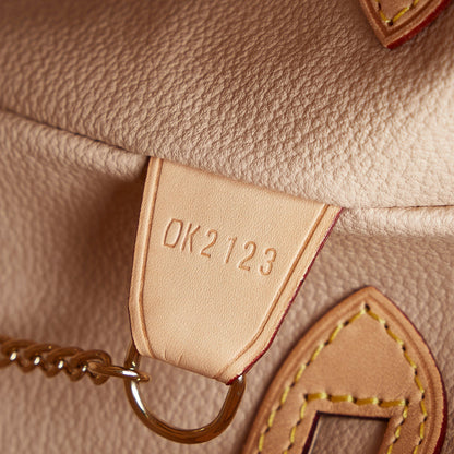 LOUIS VUITTON Monogram Petit Bucket Bucket Bag