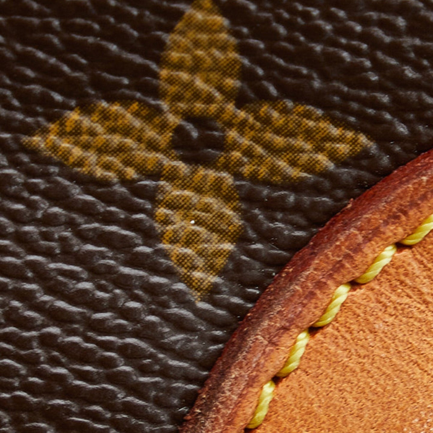 LOUIS VUITTON Monogram Nile Crossbody Bag