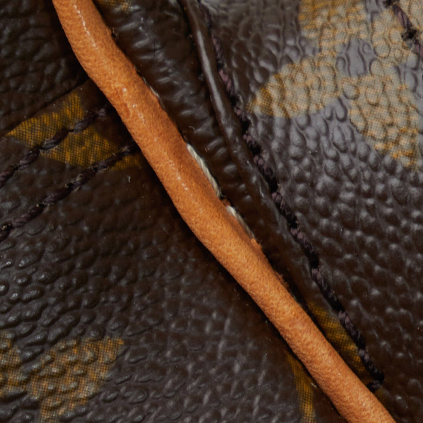 LOUIS VUITTON Monogram Nile Crossbody Bag