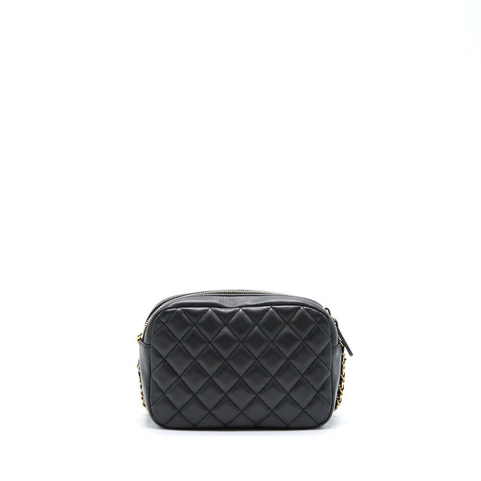 Chanel Camera Case Quilted Calfskin Black GHW