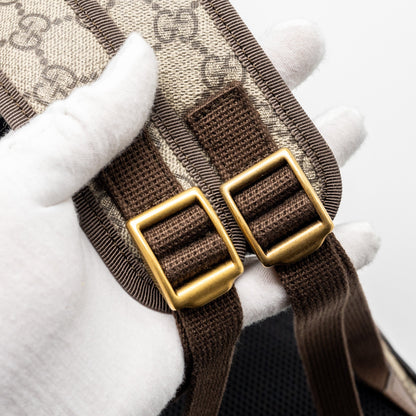 Gucci Ophidia GG Small Backpack GG supreme canvas brown