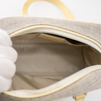 Christian Dior mini grey canvas handbag TSW pop