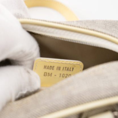 Christian Dior mini grey canvas handbag TSW pop