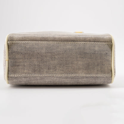 Christian Dior mini grey canvas handbag TSW pop