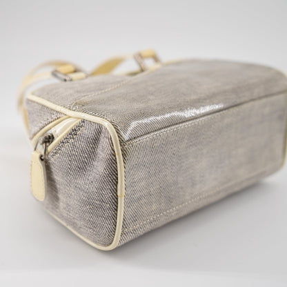 Christian Dior mini grey canvas handbag TSW pop