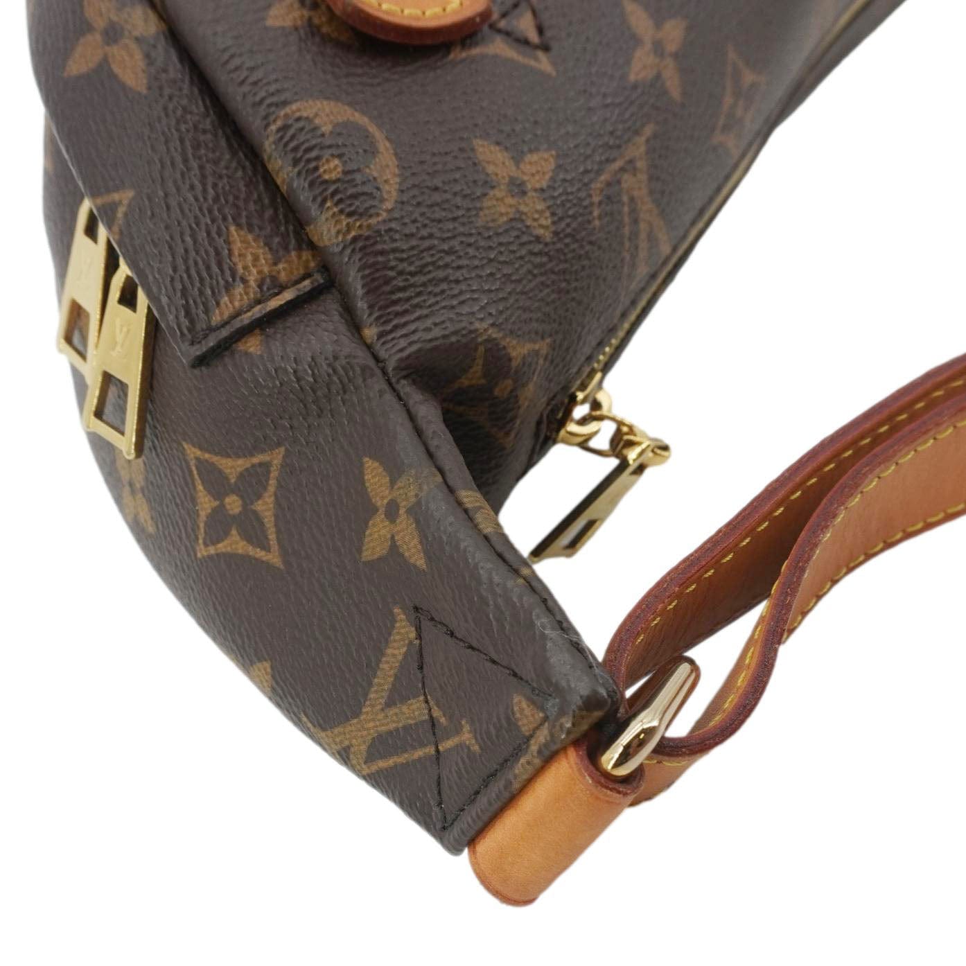 LOUIS VUITTON Monogram Canvas Bumbag Brown