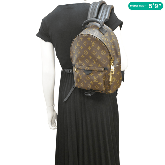 LOUIS VUITTON Palm Springs PM Monogram Canvas Backpack Brown
