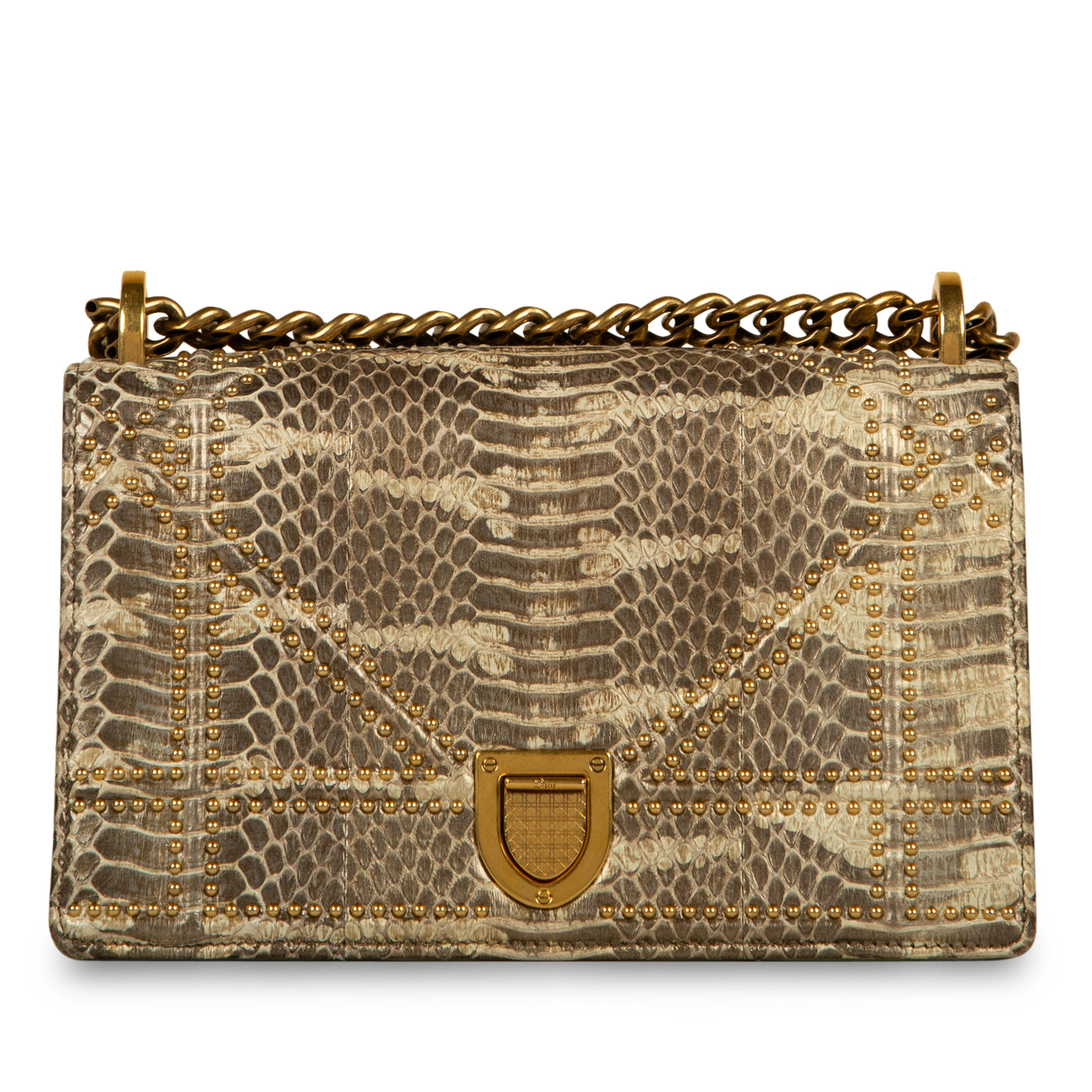 Small Studded Diorama - Python – Khalibags