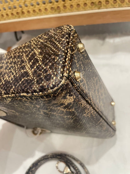 Pre-owned Certified Dior Mini Lady Dior Natural Rare Lizard Skin in Neutral Shades Python Pattern with Golden Hardware, 2017, w/ Full Set