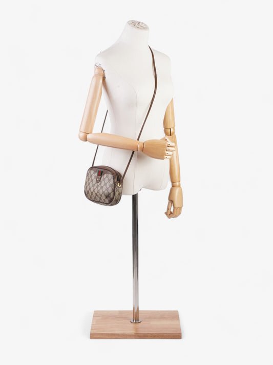 Gucci Web Sherry Line Beige And Ebony GG Supreme / Brown Coated Canvas