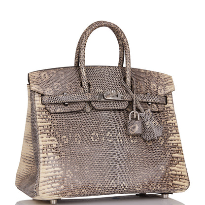Hermes Birkin 25 Ombre Shiny Salvator Lizard Palladium Hardware