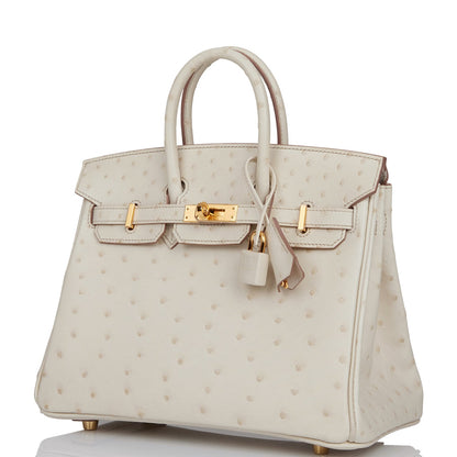 Hermes Birkin 25 Beton Ostrich Gold Hardware