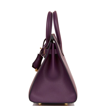Hermes Birkin 25 Sellier Cassis Veau Madame Gold Hardware