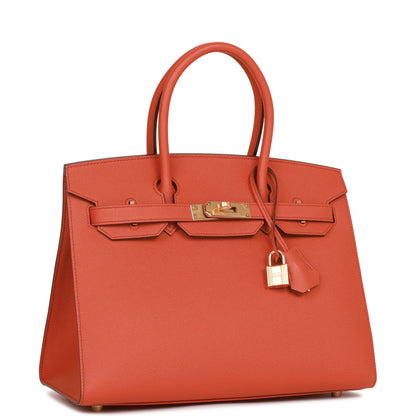 Hermes Birkin 30 Sellier Terre Battue Epsom Gold Hardware