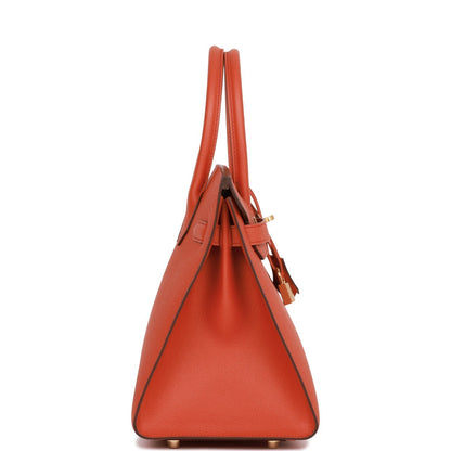 Hermes Birkin 30 Sellier Terre Battue Epsom Gold Hardware