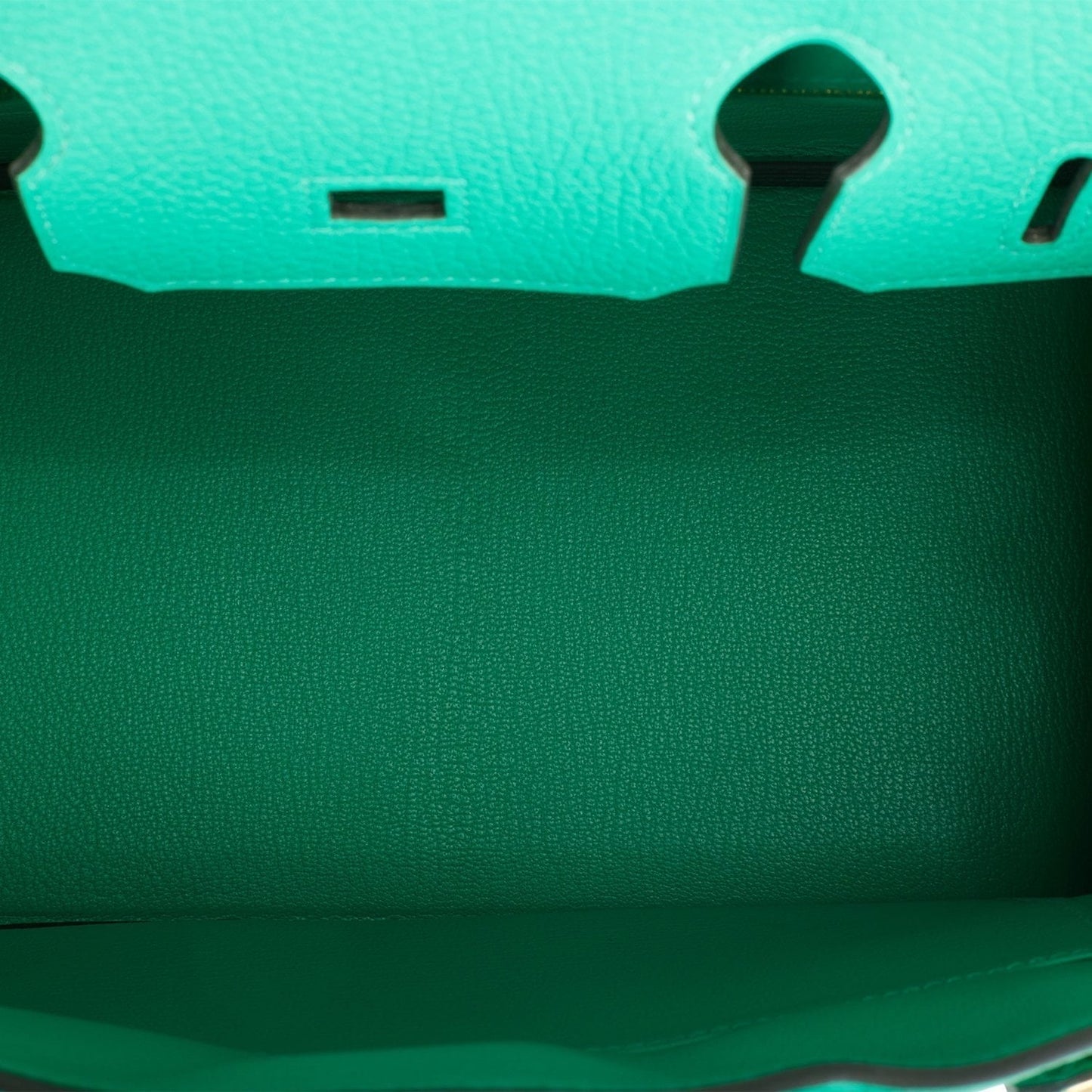 Hermes Birkin 30 Menthe Clemence Gold Hardware