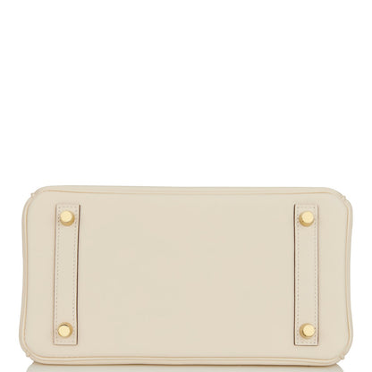 Hermes Birkin 25 Nata Swift Gold Hardware
