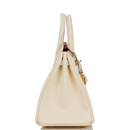 Hermes Birkin 25 Nata Swift Gold Hardware