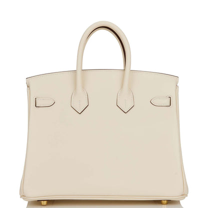 Hermes Birkin 25 Nata Swift Gold Hardware