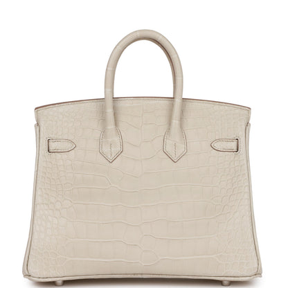 Hermes Birkin 25 Beton Matte Alligator Palladium Hardware