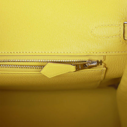 Hermes Birkin 25 Lime Matte Alligator Palladium Hardware