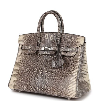 Hermes Birkin 25 Ombre Varanus Salvator Lizard Palladium Hardware