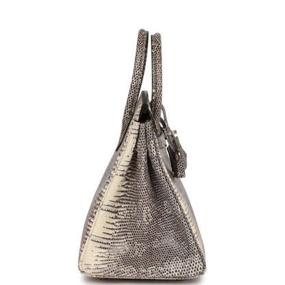 Hermes Birkin 25 Ombre Varanus Salvator Lizard Palladium Hardware